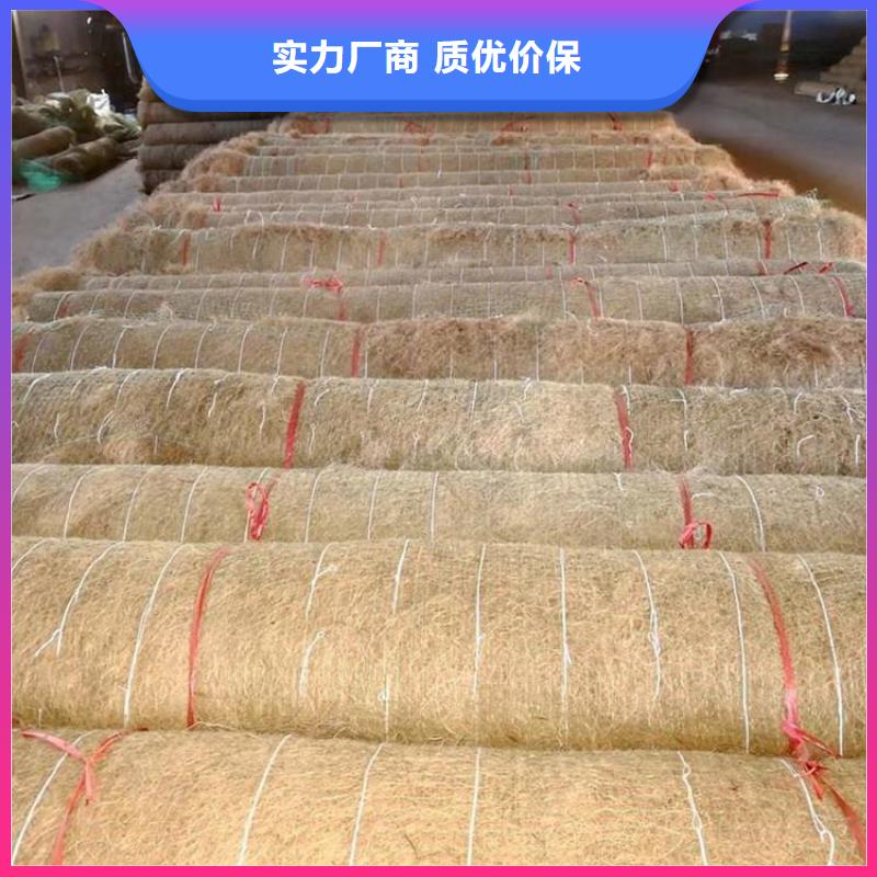 ​护坡生态草毯椰丝植被毯同城生产厂家