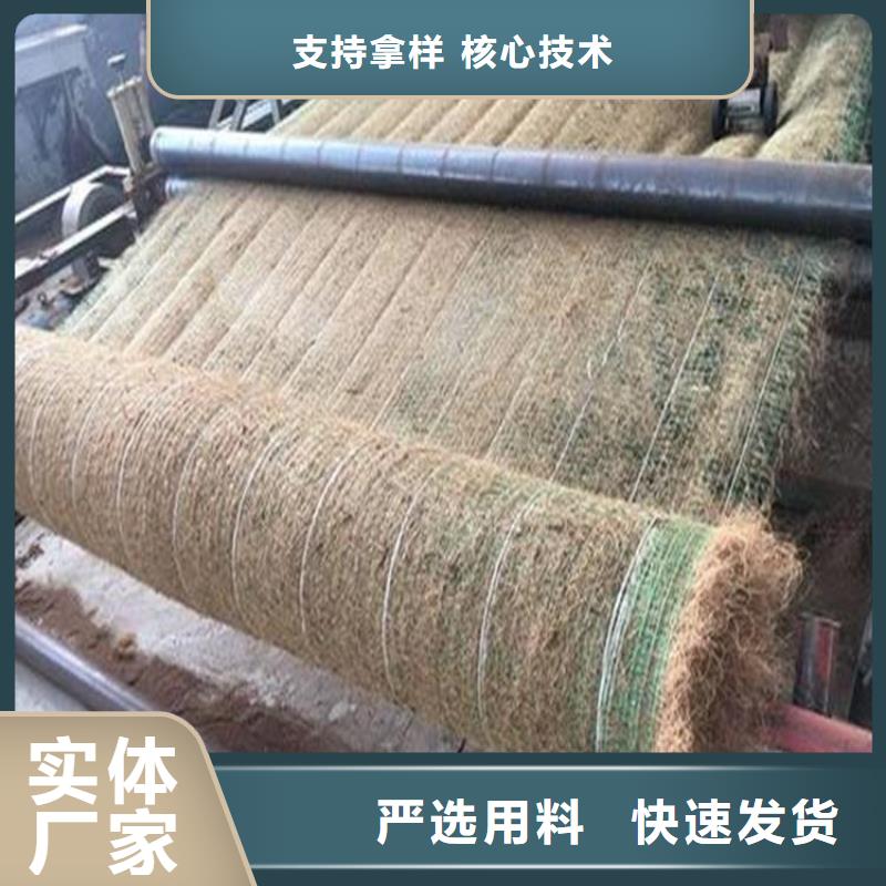 海南临高县水保抗冲生物毯技术指导精品选购