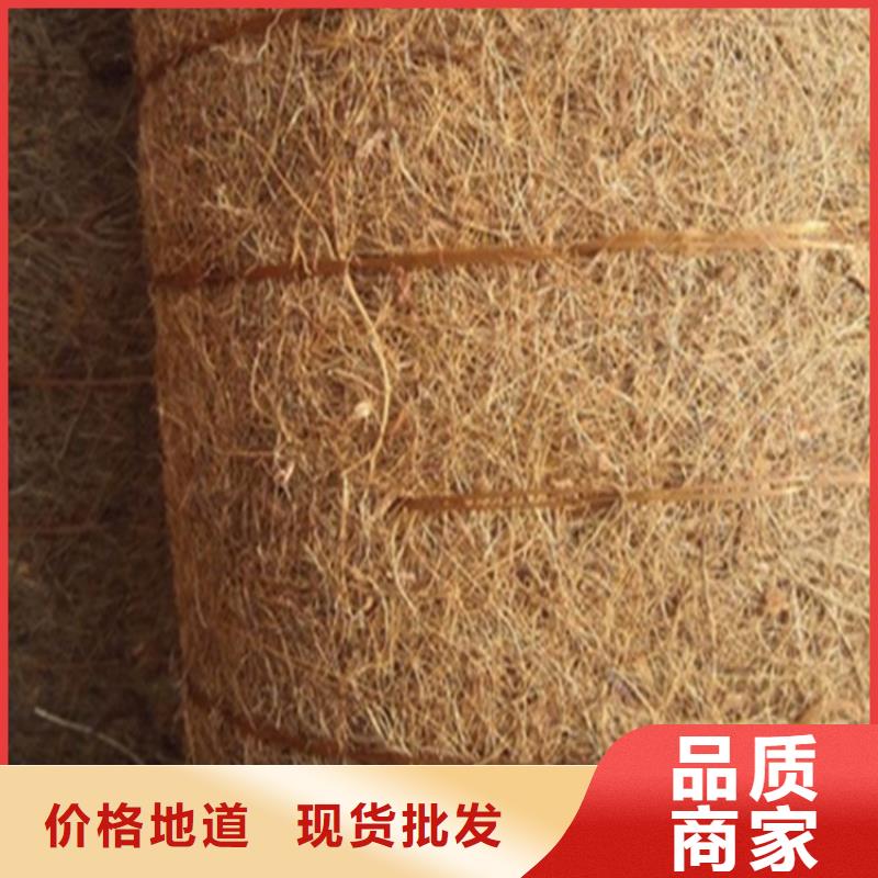 贵州铜仁护坡绿化植草毯全国送货