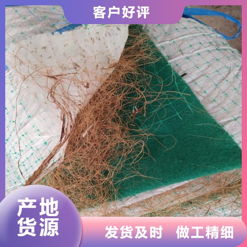 椰丝植生毯生态护坡草毯供应厂家直销直供
