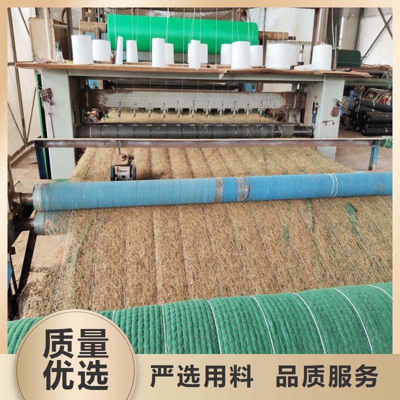 江苏苏州生态植物防护毯植物纤维草毯