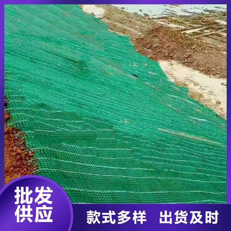 湖南郴州加筋植物纤维毯