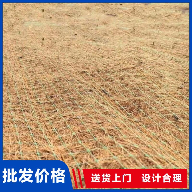 吉安市椰丝纤维毯护坡植被植草毯