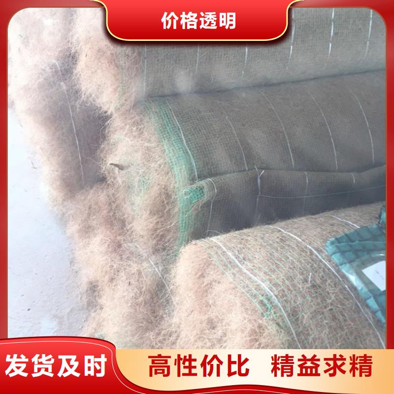 海南乐东县护坡椰丝毯价格表本地公司
