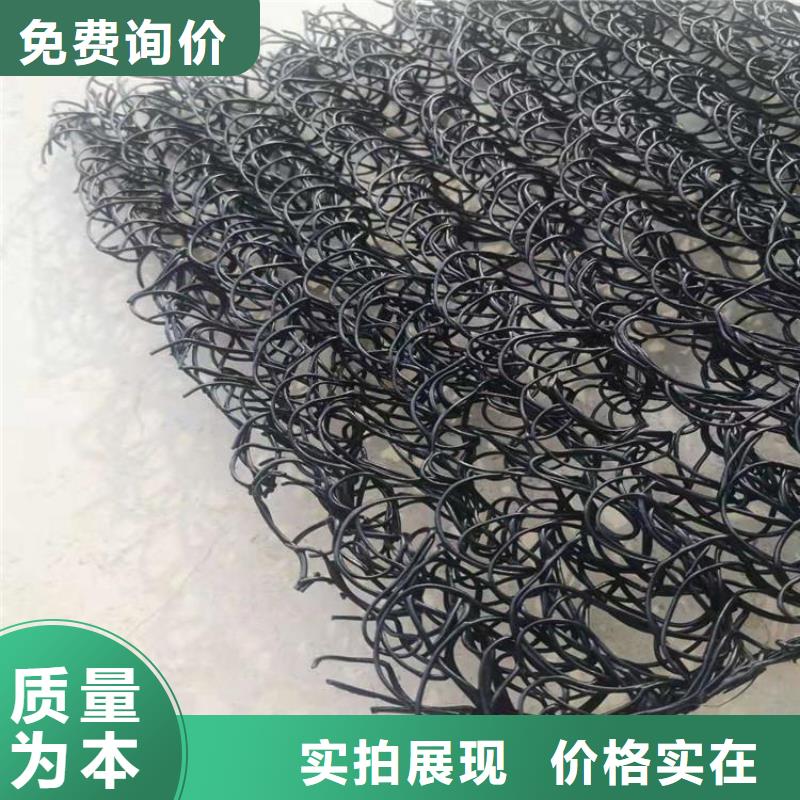 云南玉溪塑料渗排水网垫