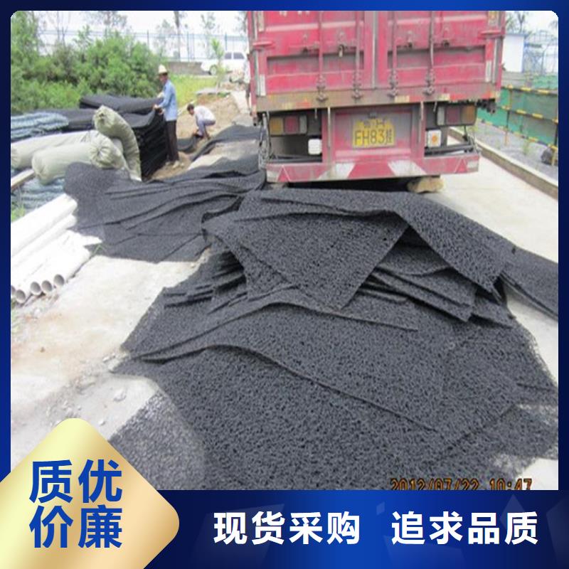 陕西汉中塑料渗排水网垫