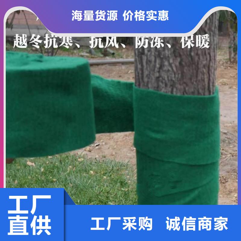 绿色裹树无纺布缠树保温带现货直发