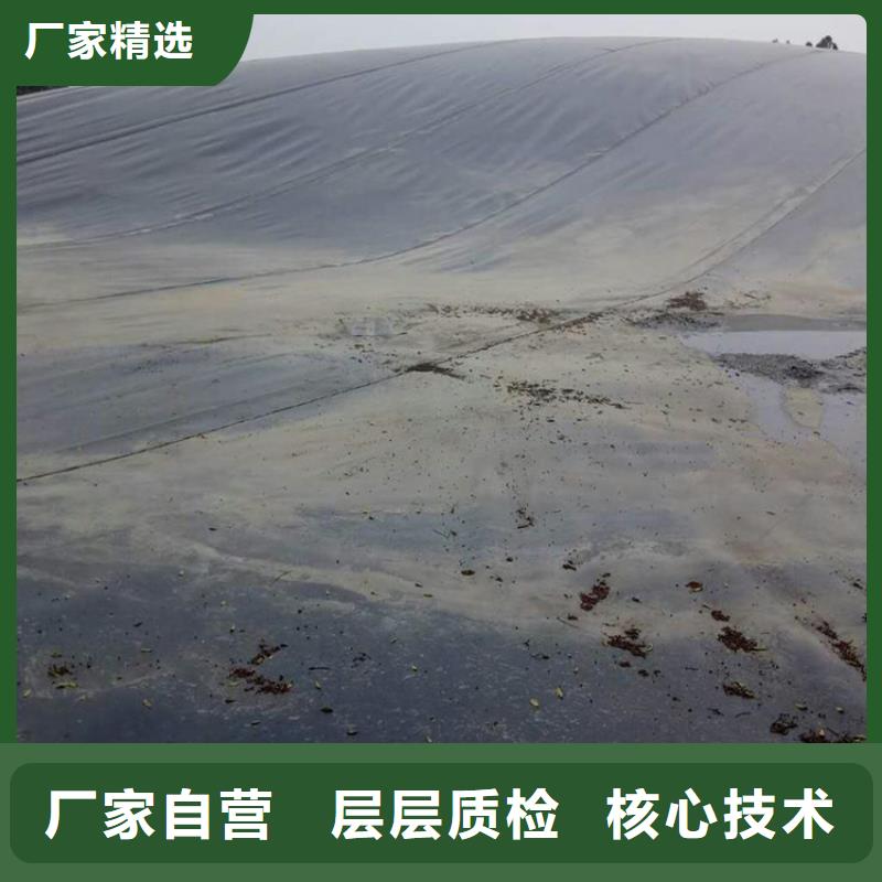 广东珠海固废处理聚乙烯土工膜