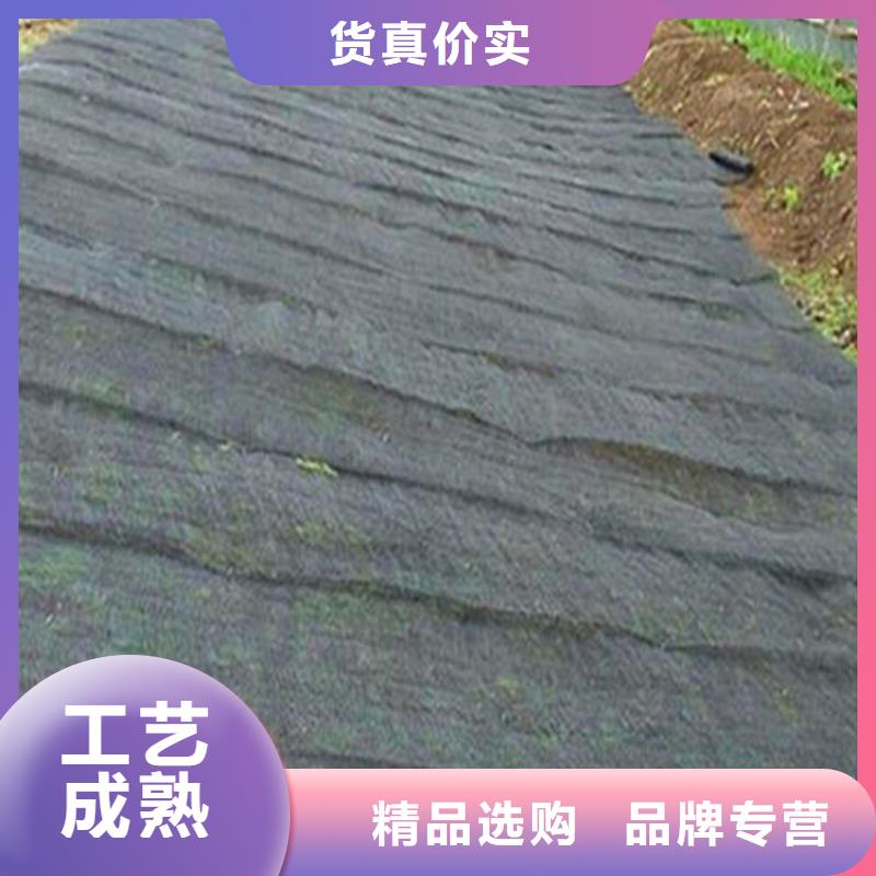 贵州柔性水土保护毯市场经销