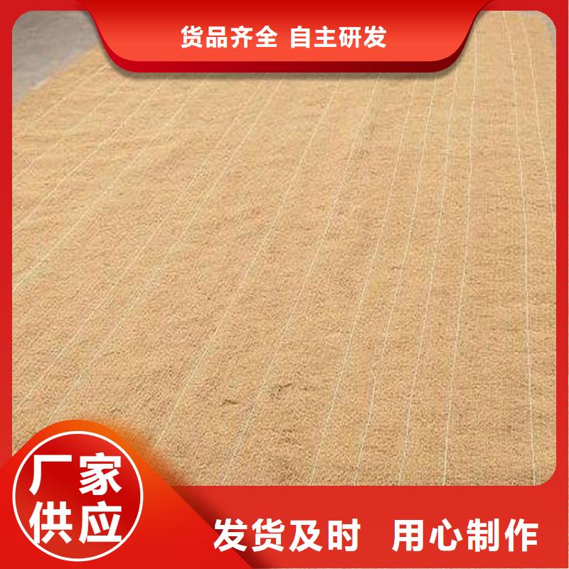 陵水县水保抗冲生物毯生态植被垫追求细节品质