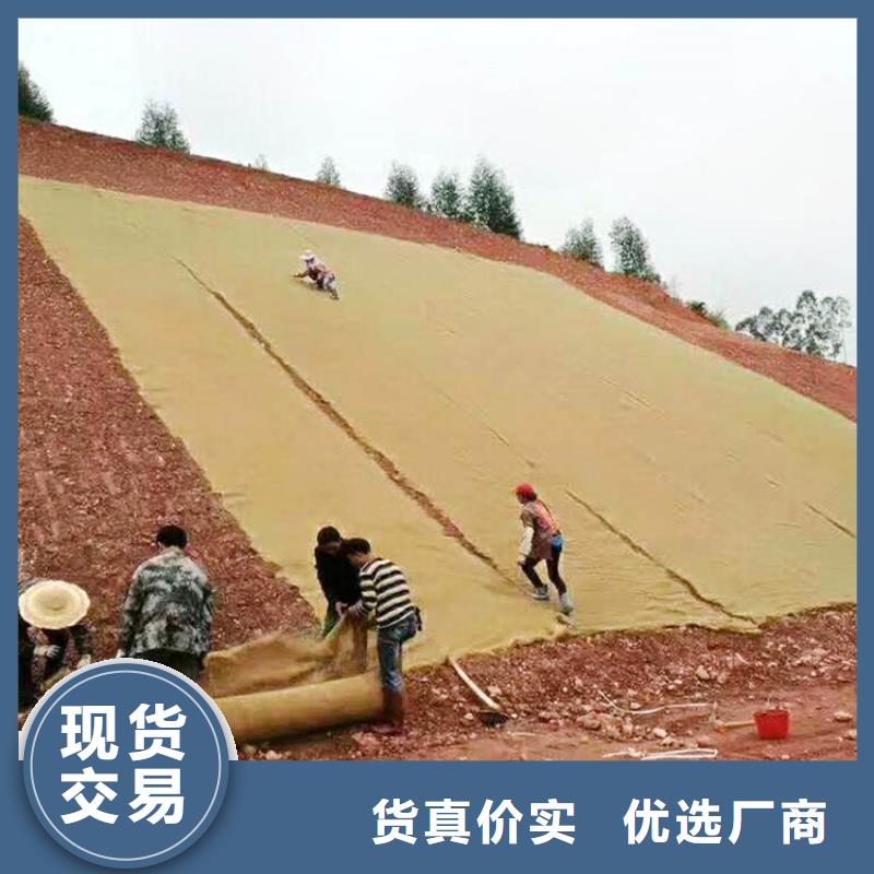 菏泽市植物纤维毯生态护坡毯