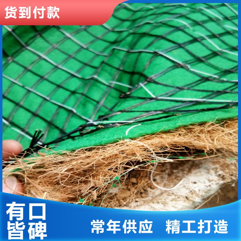 麻椰固土毯环保草毯追求细节品质