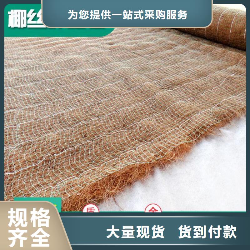 文昌市椰丝植生毯 植被纤维毯