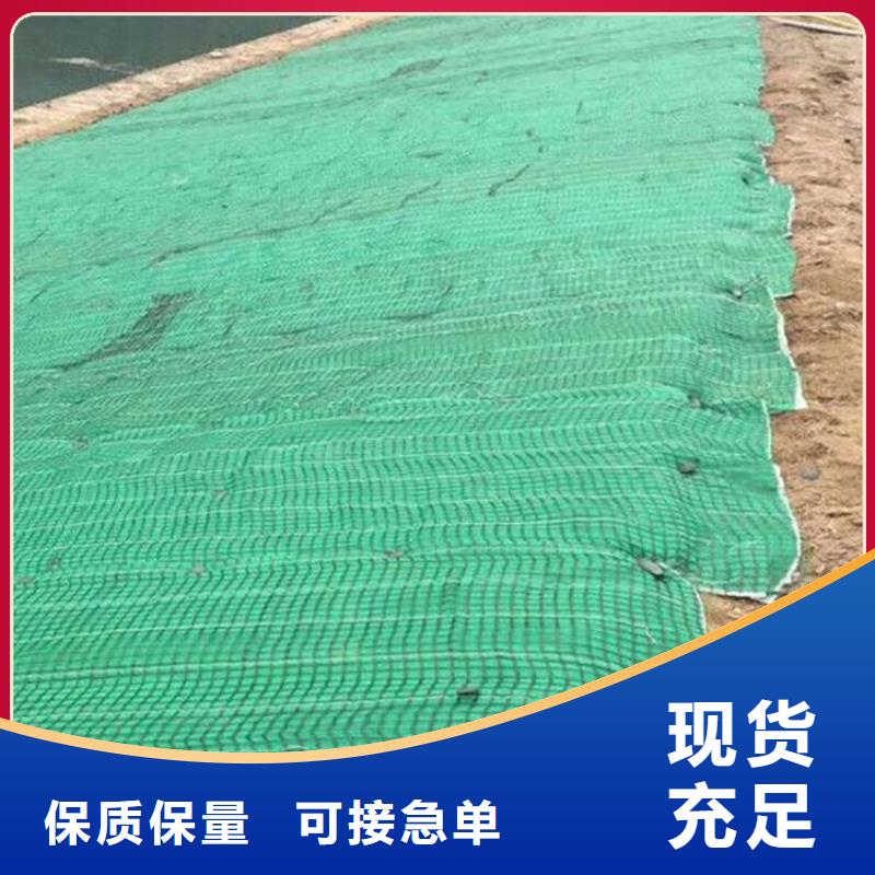 潍坊市水保抗冲生物毯植生毯土工布