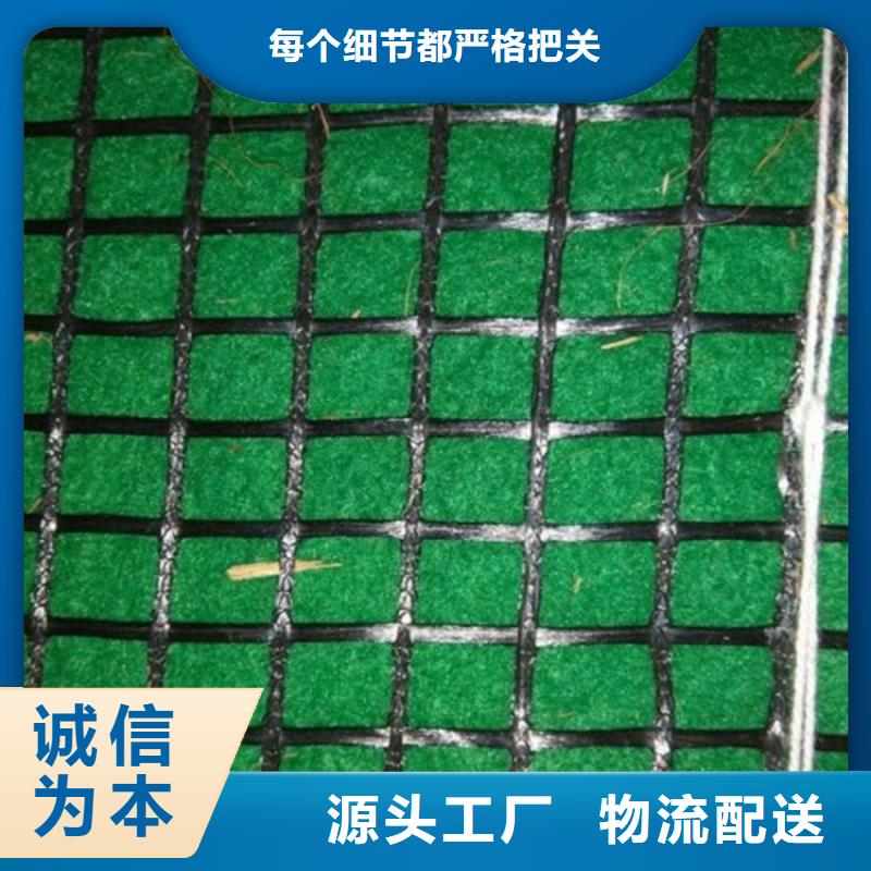 蚌埠市加筋复合环保草毯