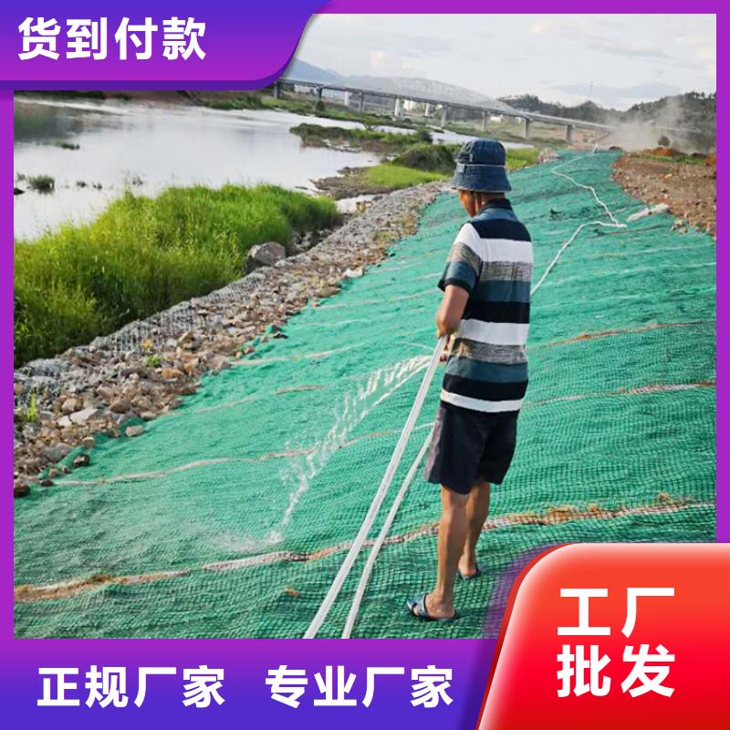 丽江市生态植物防护毯护坡植被纤维毯
