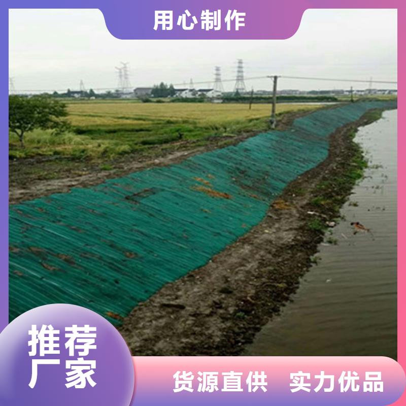 ​琼中县植被毯麻椰固土毯本地供应商