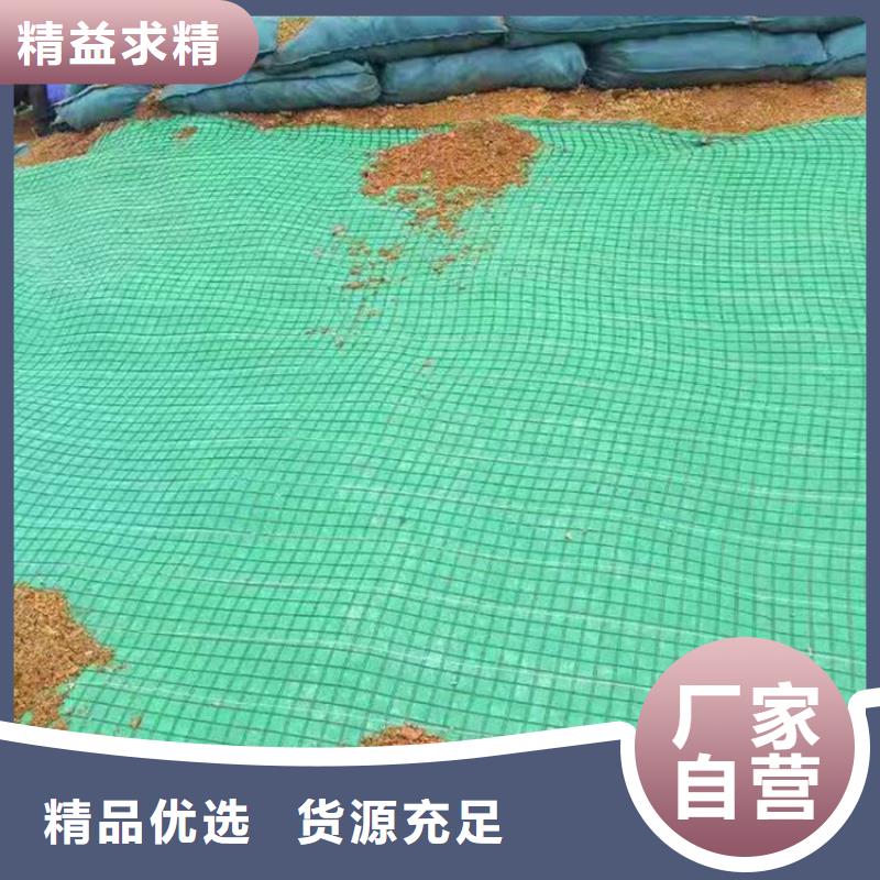郴州市护坡植被纤维毯