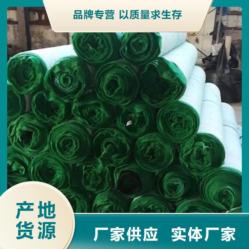 昌江县椰丝植物毯厂家现货供应