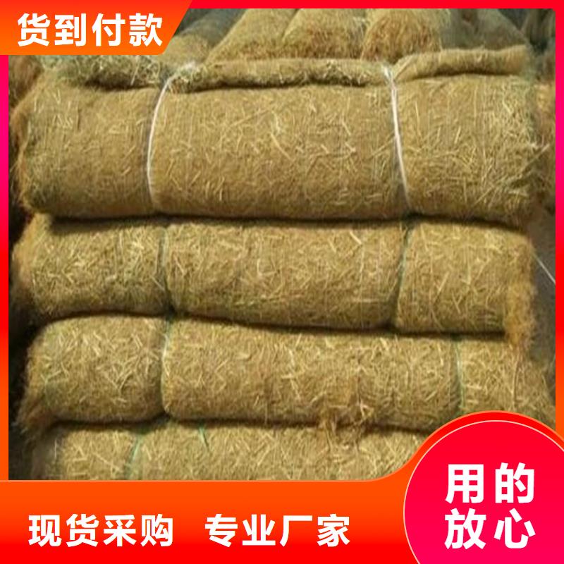 椰丝植生毯护坡绿化毯同城生产厂家
