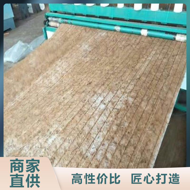 忻州市植物纤维毯麻椰固土毯 