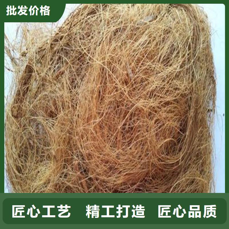 武汉市草籽椰丝毯类型