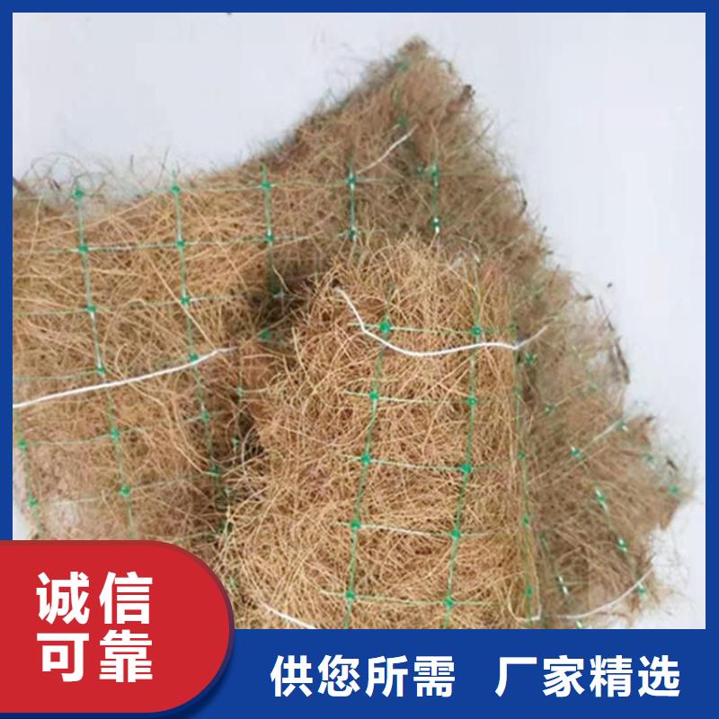 屯昌县椰丝植生毯 植物生态毯