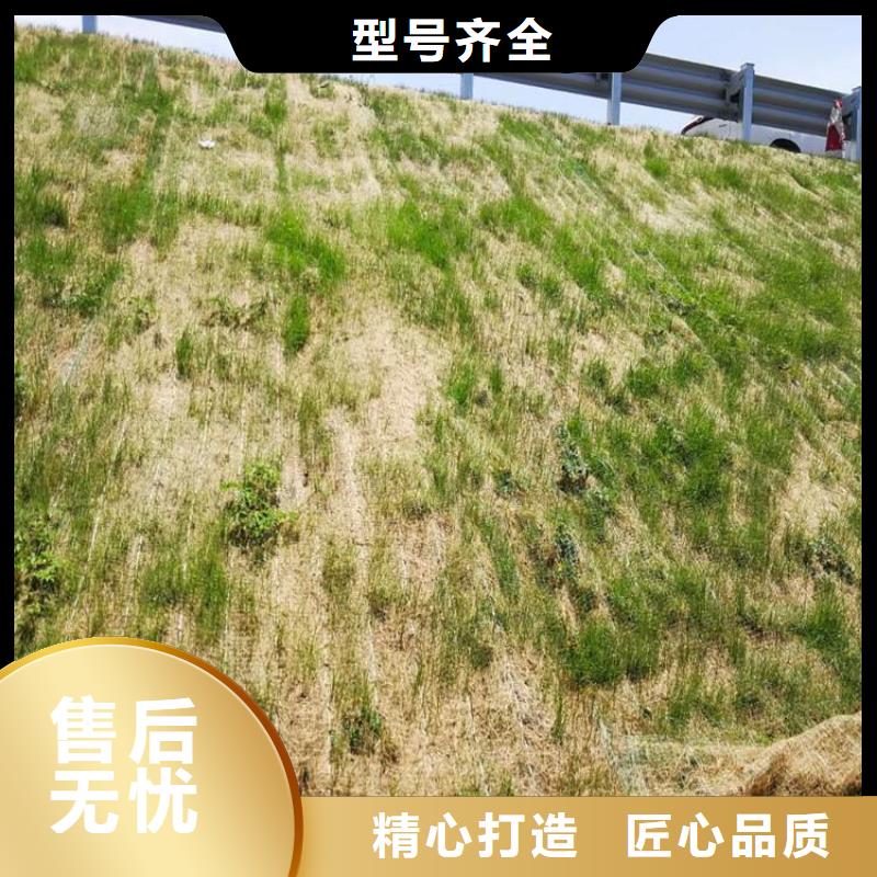 忻州市稻草植生毯