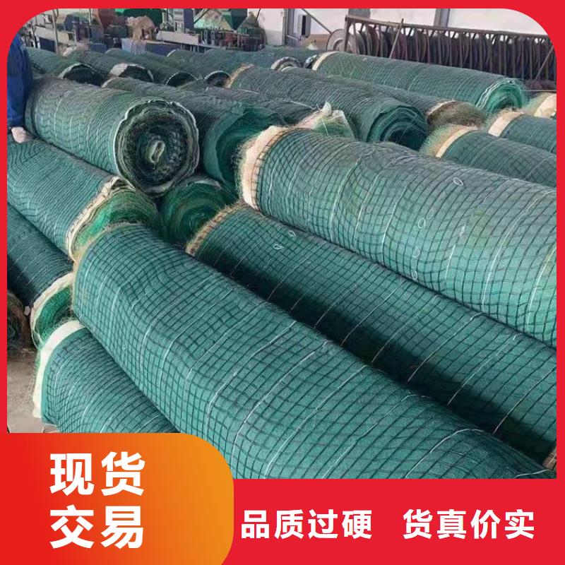 沧州市生态植物防护毯环保植被垫