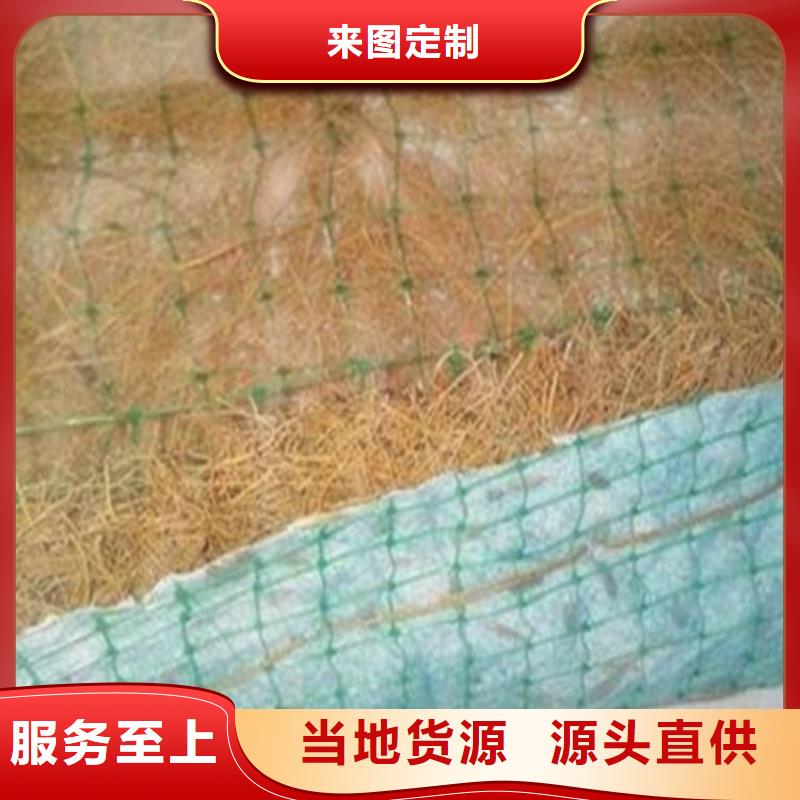 万宁市生态植物防护毯植物绿化纤维毯定金锁价