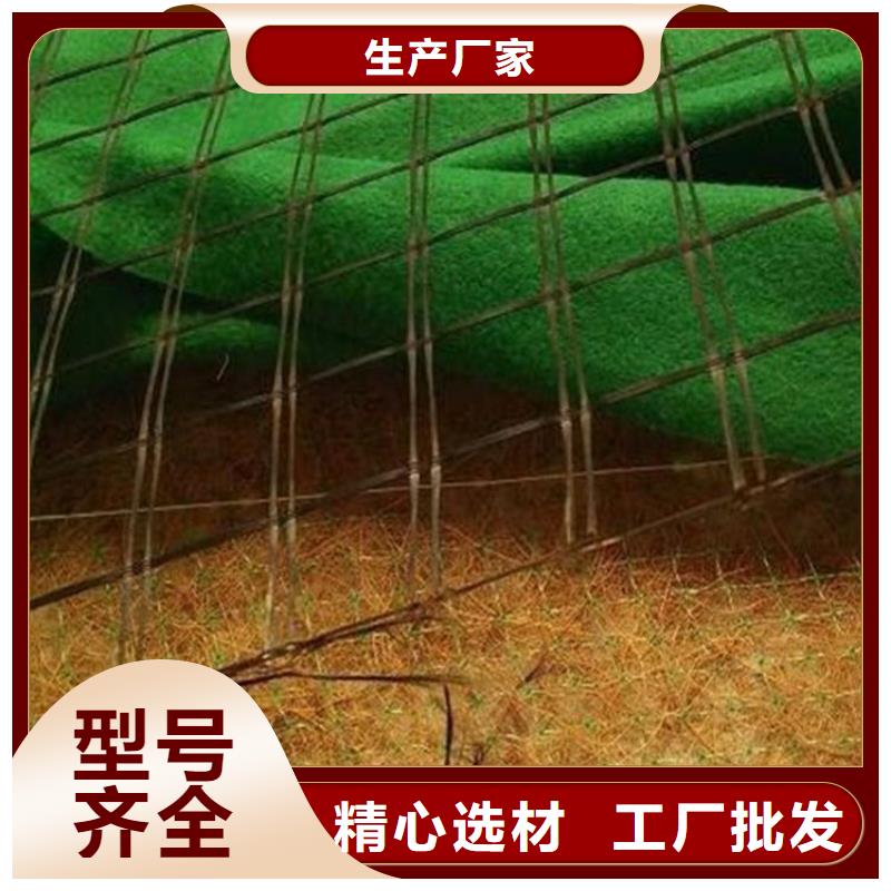 陵水县椰丝纤维毯水保植物纤维毯