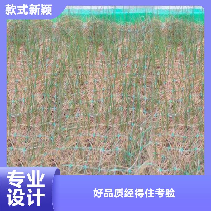 澄迈县护坡植被植草毯固土椰丝毯