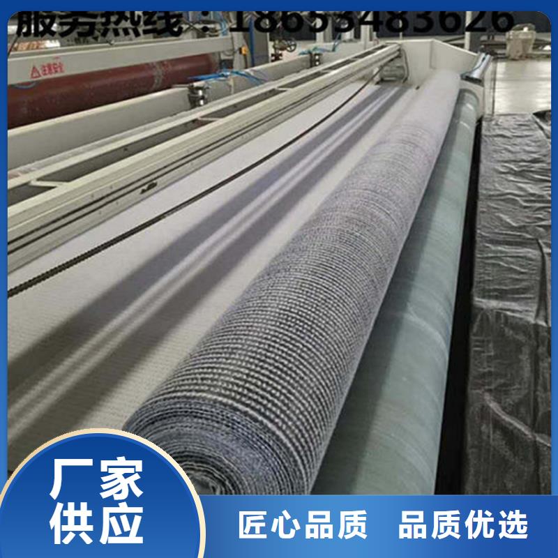 琼中县钠基膨润土防水毯5.5kgPE覆膜型防水垫
