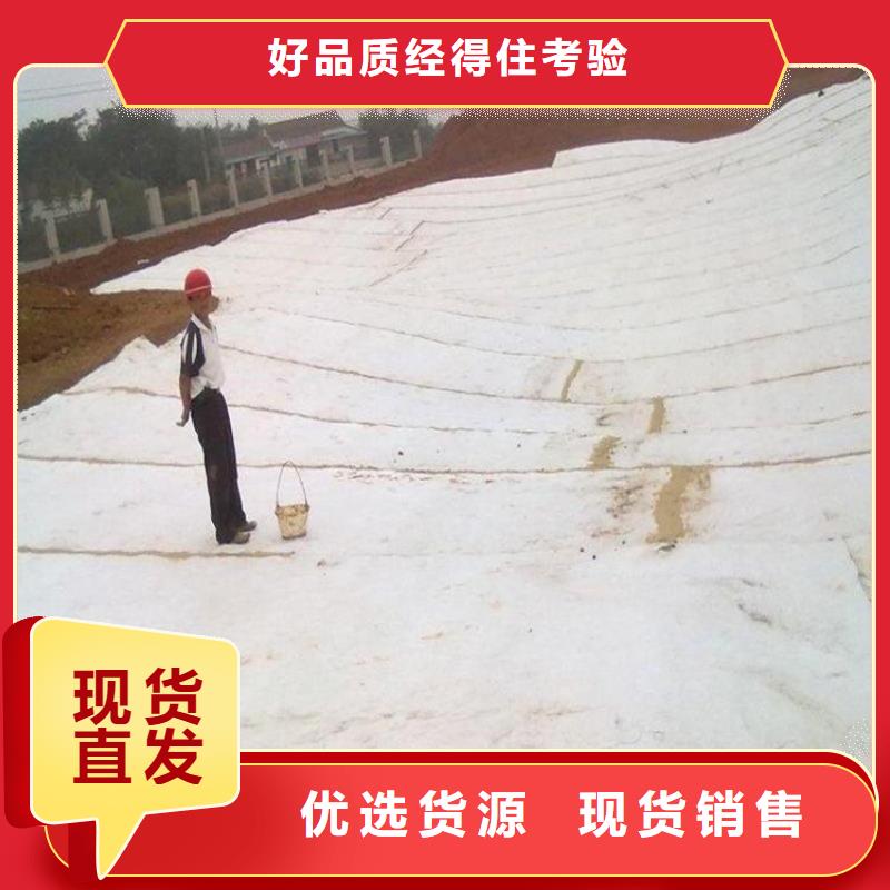 阳江市钠基膨润土防水毯4800g天然钠基防水垫追求品质