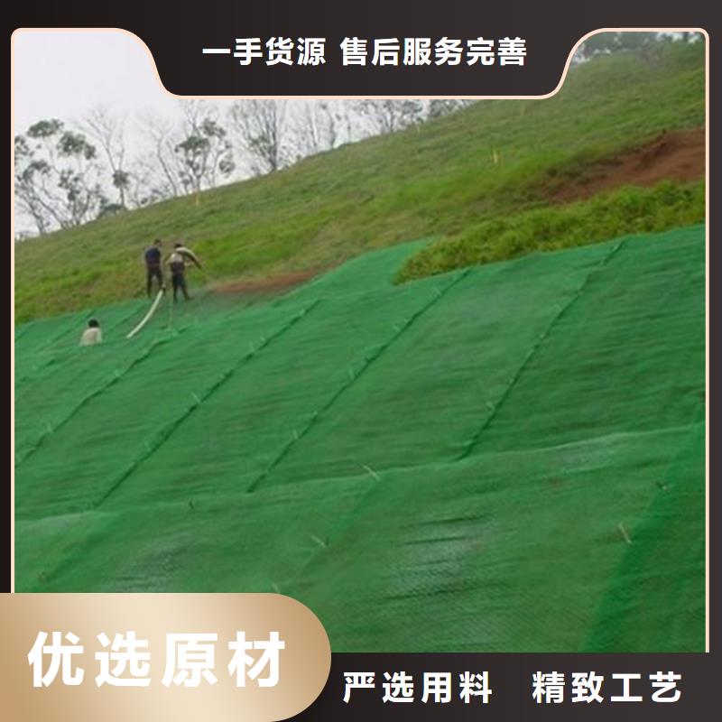 绿化塑料三维固土网垫供您所需
