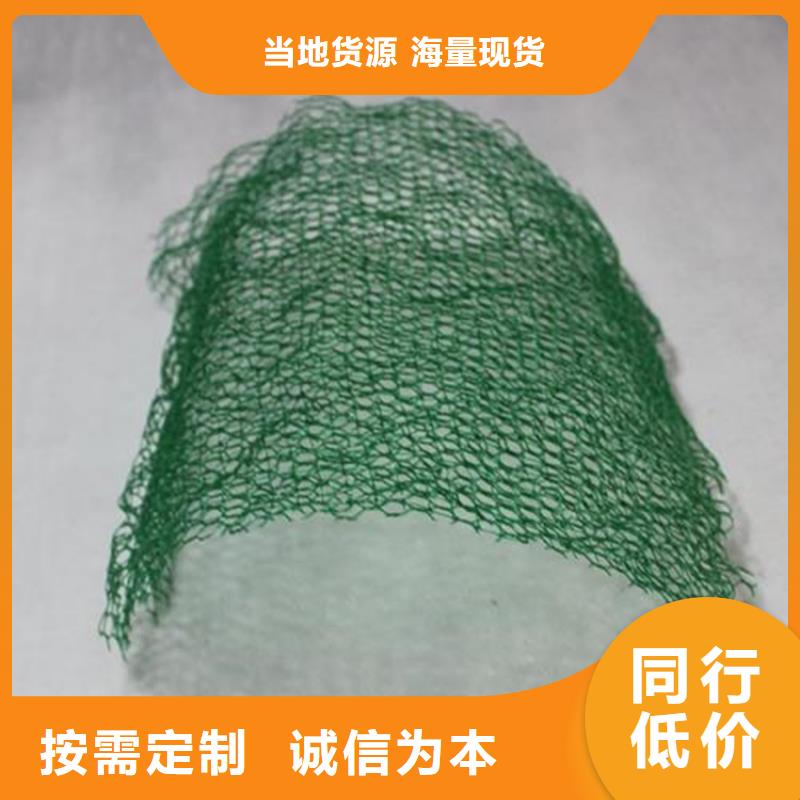 塑料护坡三维土工网垫可接急单