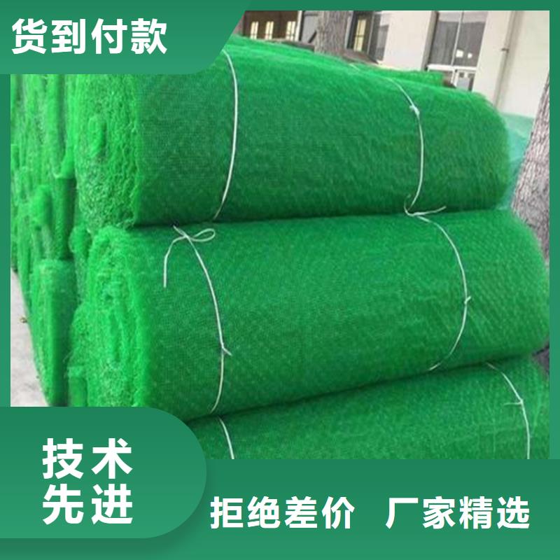 漳州市塑料EM2三维固土网垫