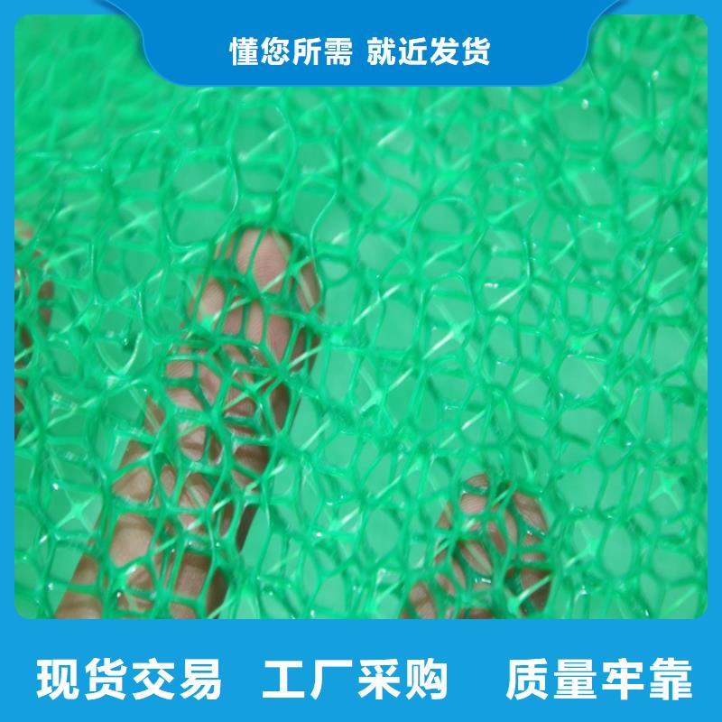 固土绿化三维固土网垫原料层层筛选