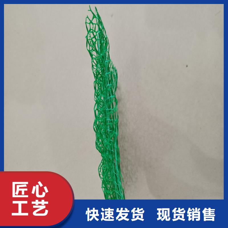 南京市绿化边坡三维植被网