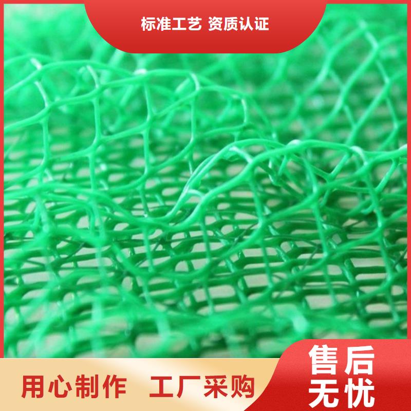 塑料EM2三维土工网垫应用领域