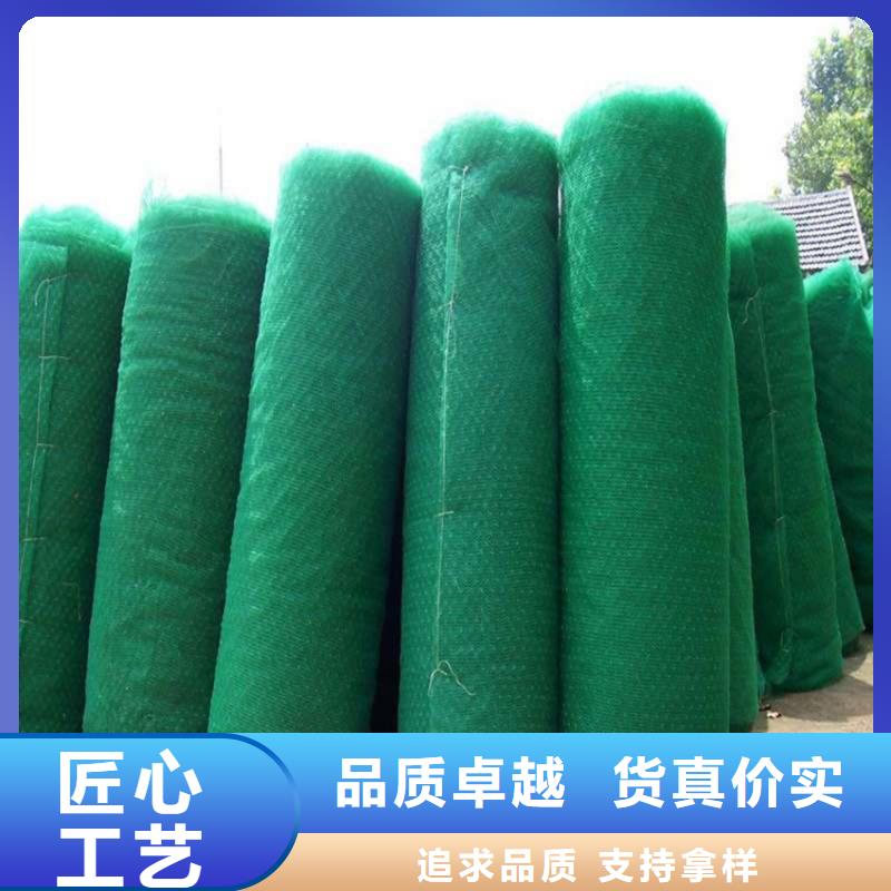 边坡绿化三维固土网垫厂家质量过硬