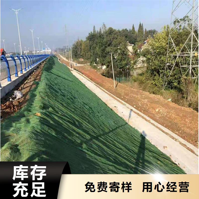 北京市绿化EM3三维固土网垫