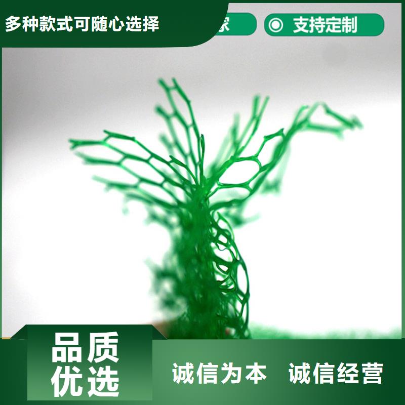 EM2草皮三维植被网同城货源