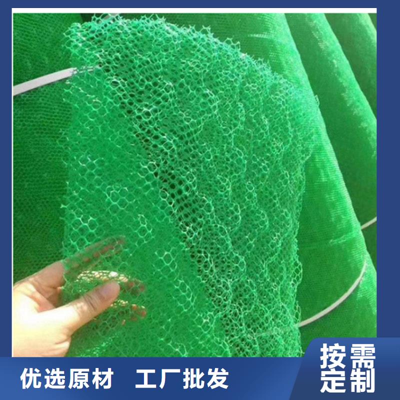 珠海市三维土工网垫铺设方法