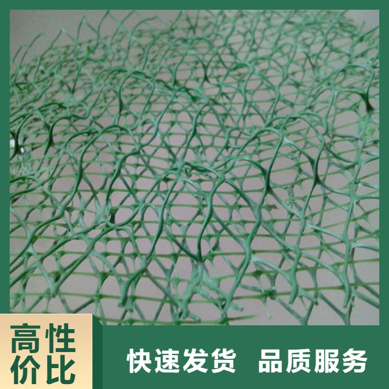 塑料加筋三维土工网垫专业厂家