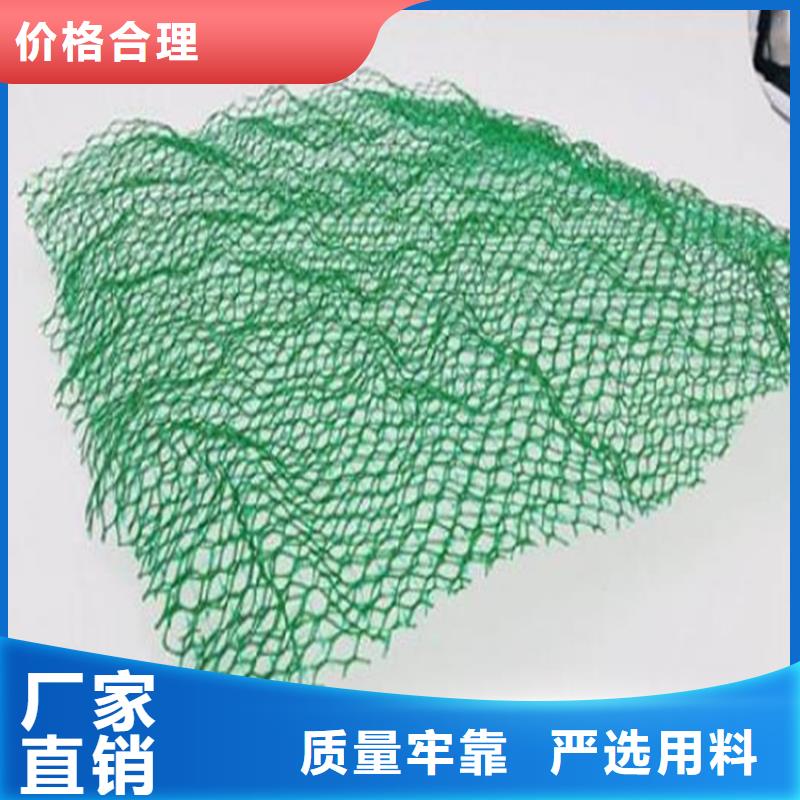 塑料加筋三维植被网可定制有保障