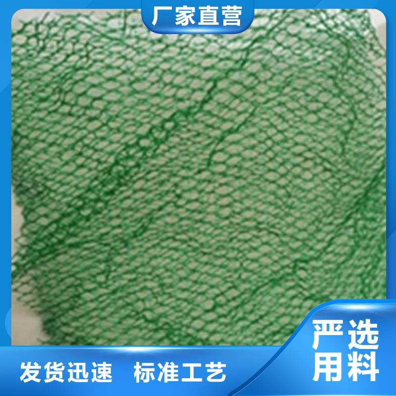 汉中市绿化边坡三维土工网垫
