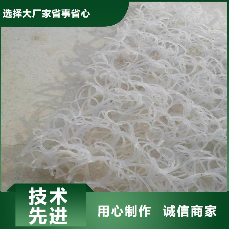 衡阳市塑料渗排水网垫