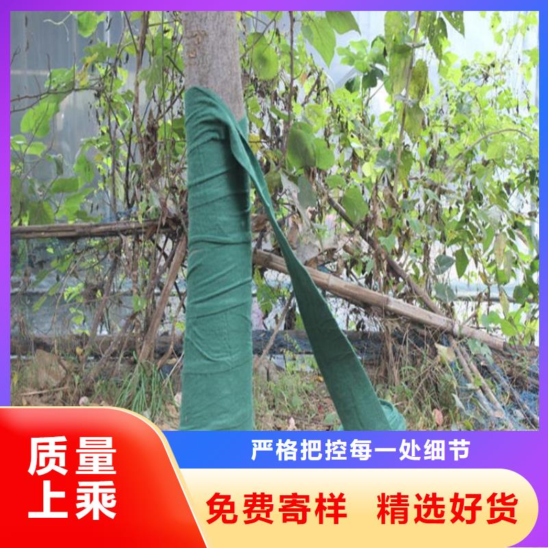 树木养护带绿色包树无纺布卓越品质正品保障