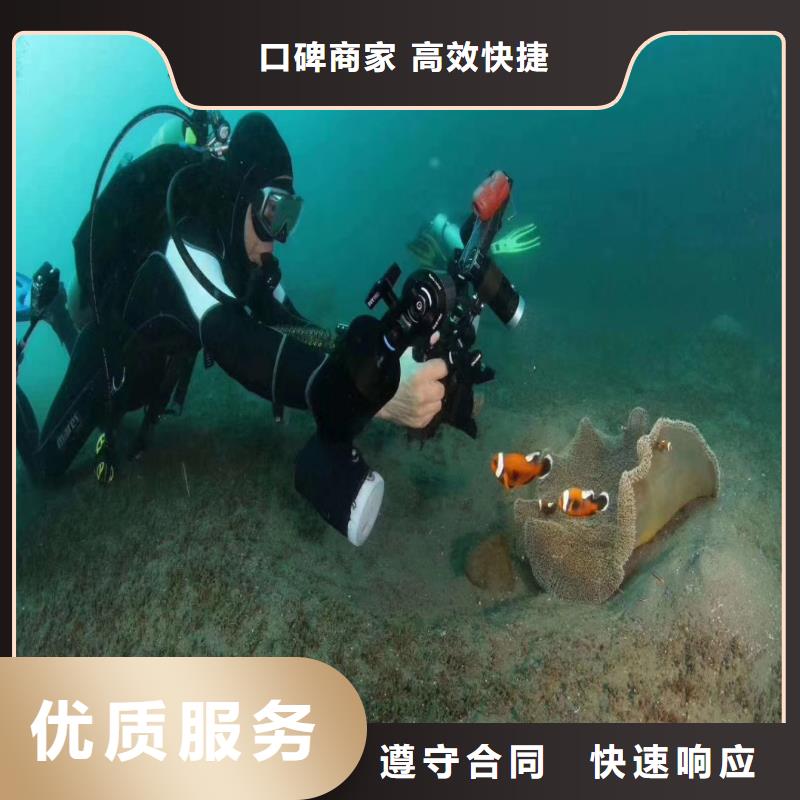 广东江门蛙人码头桥桩水下探摸拍照检测公司-欢迎订购-24小时可联系
